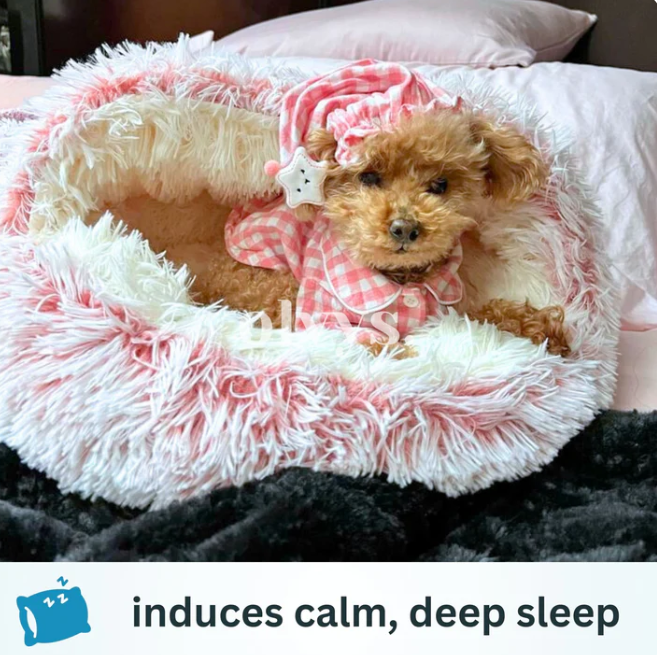 Cozy SNUGGLE Bed For Dog