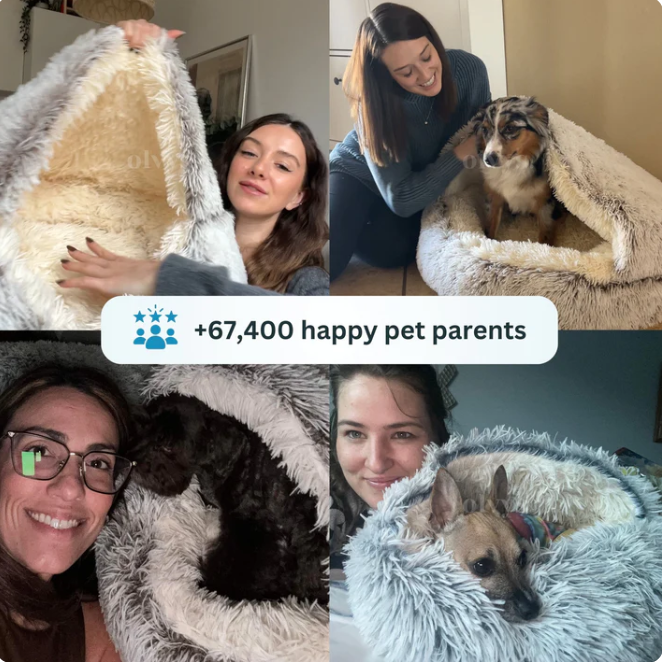 Cozy SNUGGLE Bed For Dog