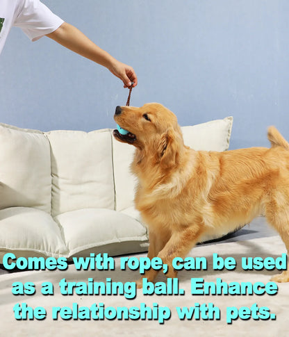 Puppy Teething Chew Toy