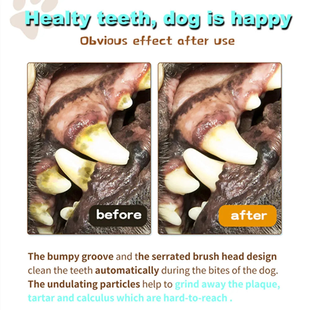 Puppy Teething Chew Toy