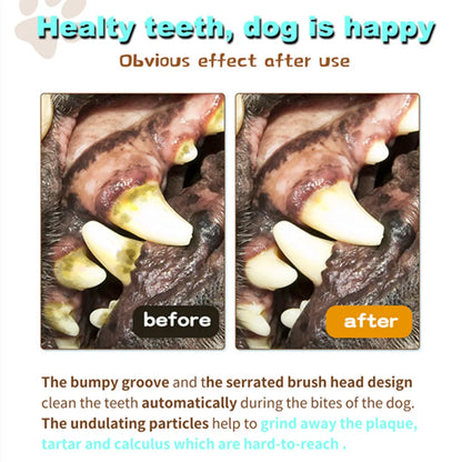Puppy Teething Chew Toy