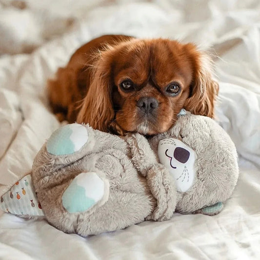 Puppy Heartbeat Companion™