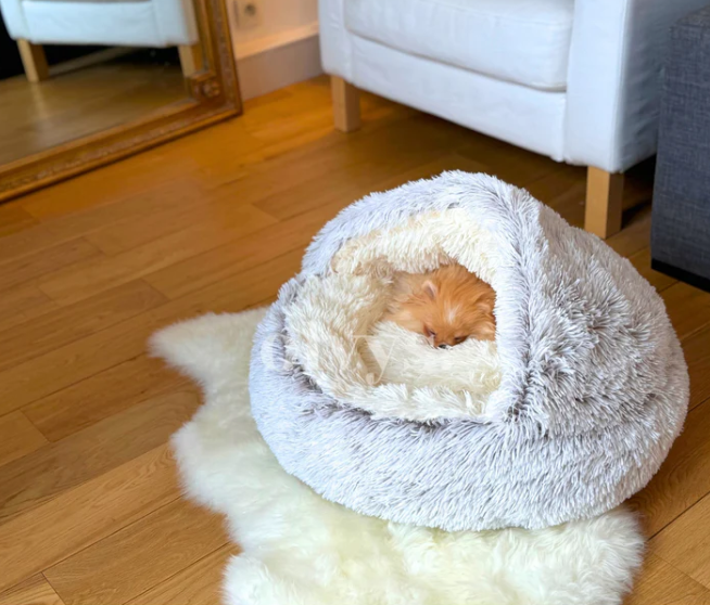 Cozy SNUGGLE Bed For Dog