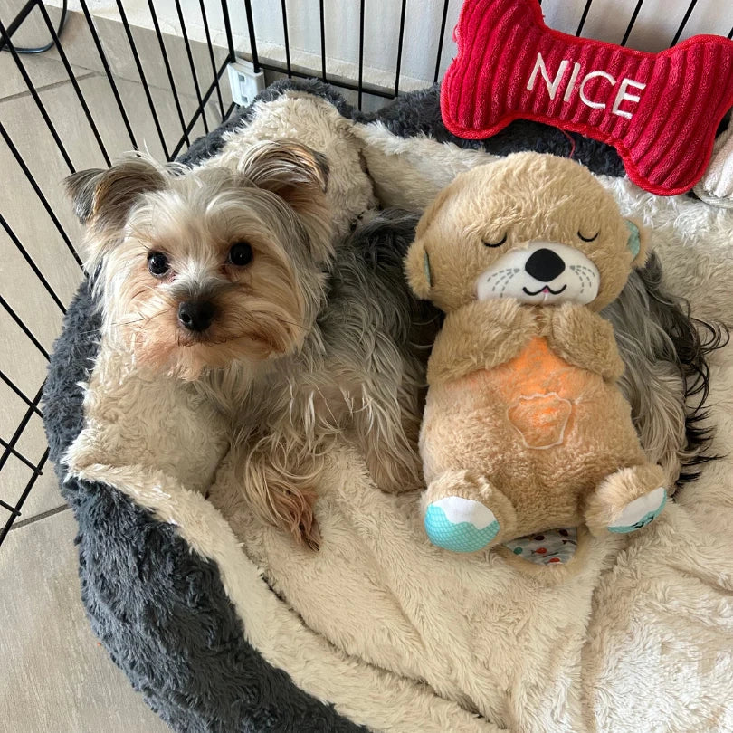 Puppy Heartbeat Companion™